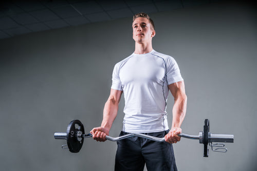 Rold Fit